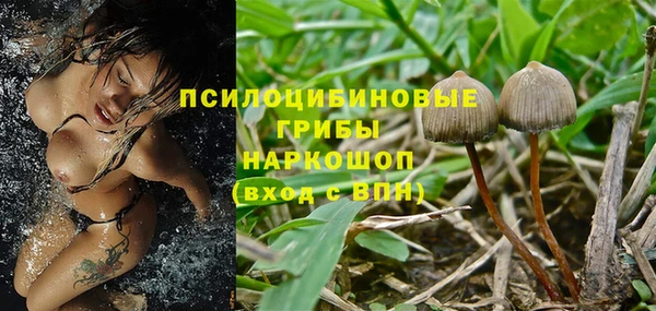 ешки Балахна