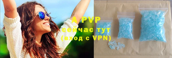 прущие грибы Баксан