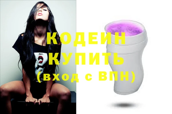 гидра Арсеньев