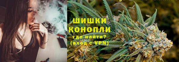 гидра Арсеньев