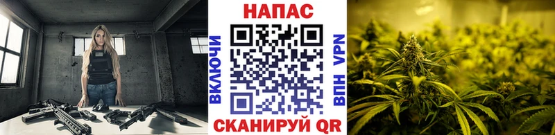 Канабис VHQ  Купить закладки  Томари 